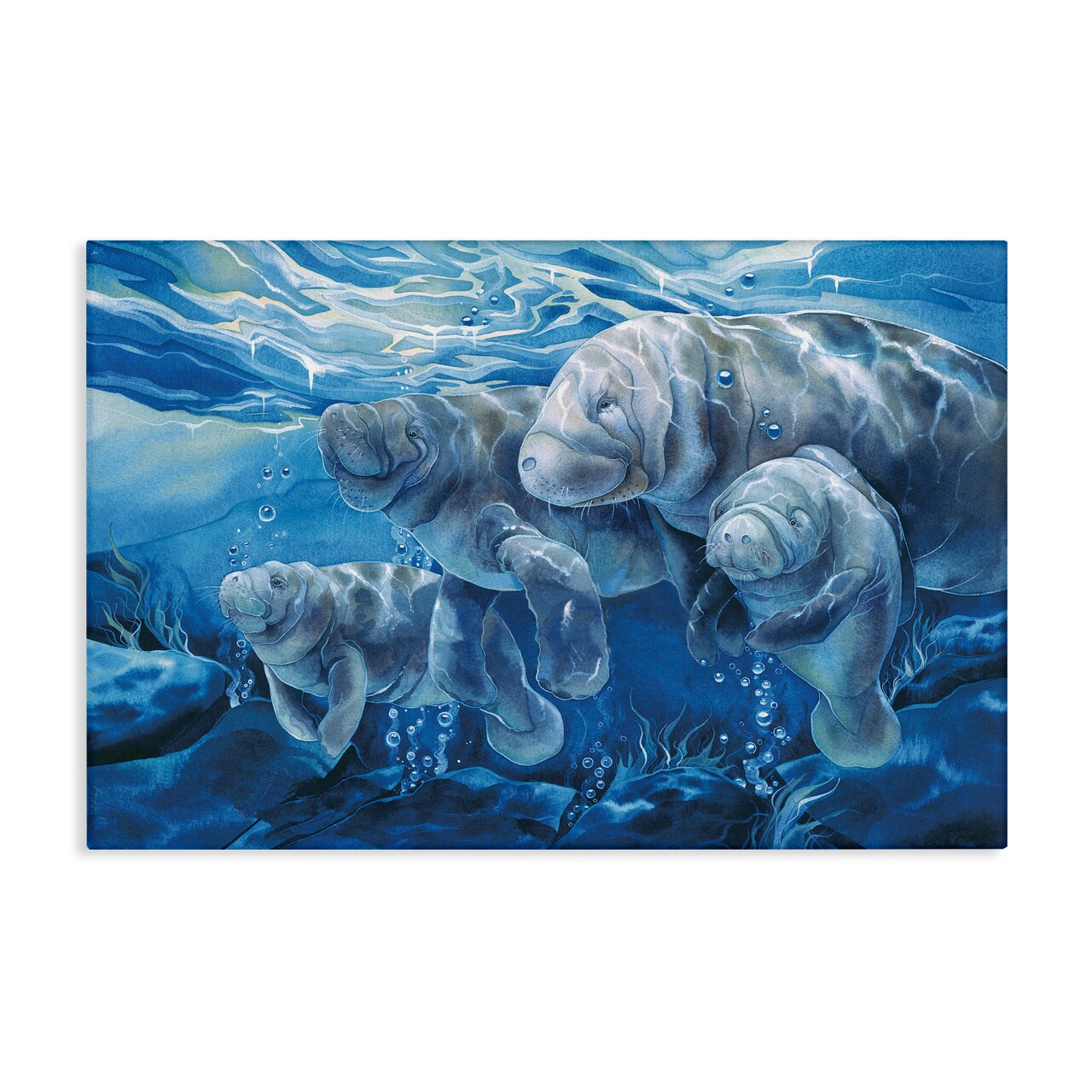 Stupell Industries Underwater Manatee Family Canvas Design by Jody Bergsma
